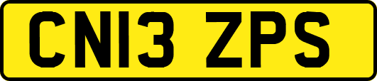 CN13ZPS