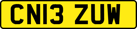 CN13ZUW