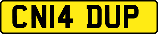 CN14DUP
