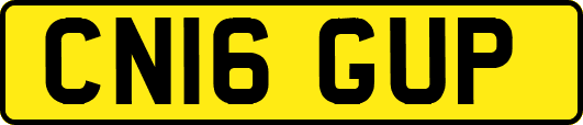 CN16GUP
