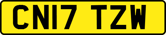 CN17TZW