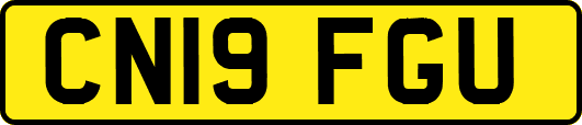 CN19FGU