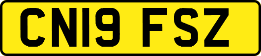 CN19FSZ