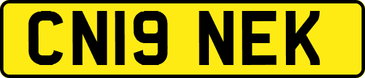 CN19NEK