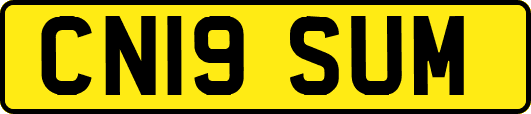 CN19SUM