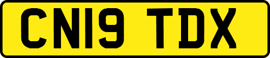 CN19TDX
