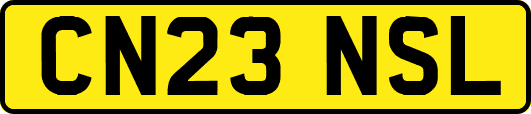 CN23NSL