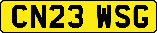 CN23WSG