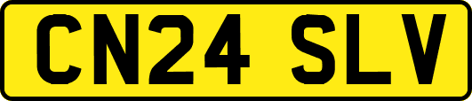 CN24SLV