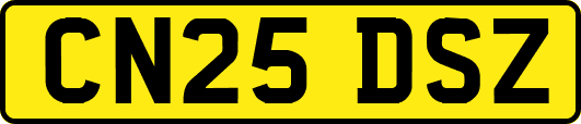 CN25DSZ