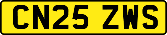 CN25ZWS