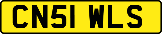 CN51WLS