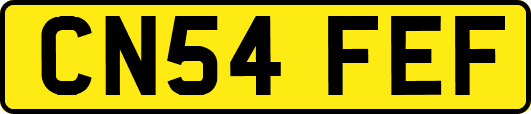 CN54FEF