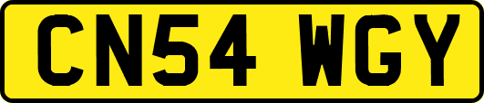 CN54WGY