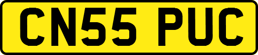 CN55PUC