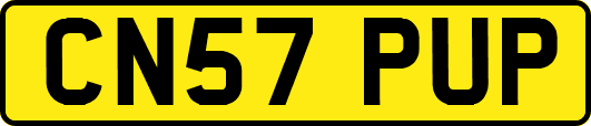 CN57PUP
