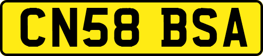 CN58BSA