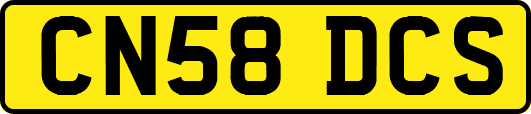 CN58DCS