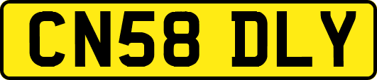 CN58DLY