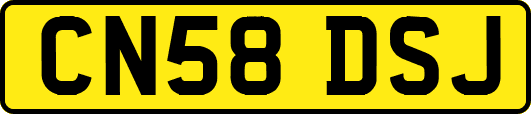 CN58DSJ