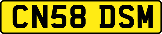 CN58DSM