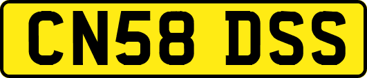 CN58DSS