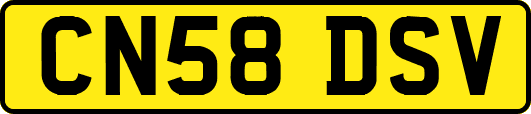 CN58DSV