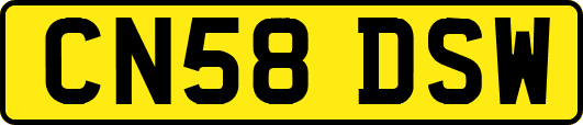 CN58DSW