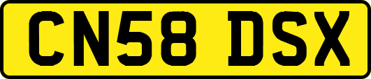 CN58DSX