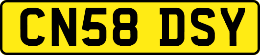 CN58DSY