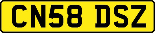 CN58DSZ