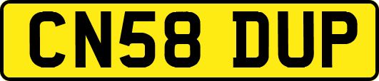 CN58DUP