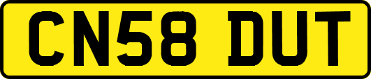 CN58DUT