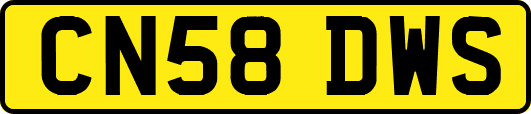 CN58DWS