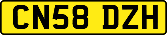 CN58DZH