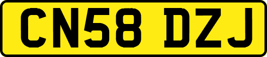 CN58DZJ