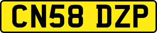 CN58DZP