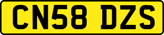 CN58DZS