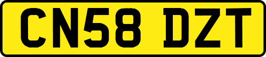 CN58DZT