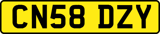 CN58DZY