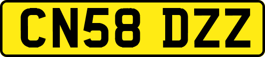 CN58DZZ