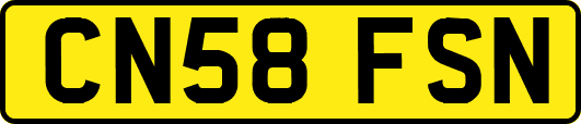 CN58FSN