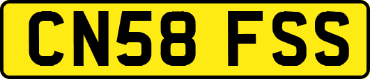 CN58FSS