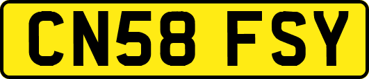 CN58FSY