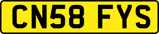 CN58FYS