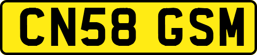 CN58GSM
