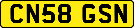 CN58GSN