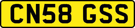 CN58GSS
