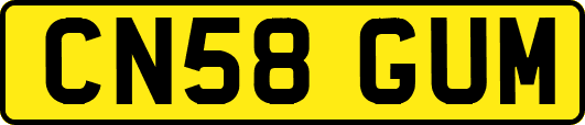 CN58GUM