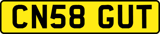 CN58GUT